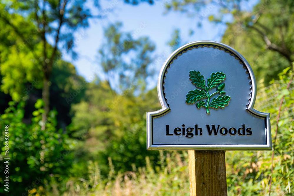 فيلا Peaceful Woodland Retreat Near Clifton, بريستول المظهر الخارجي الصورة