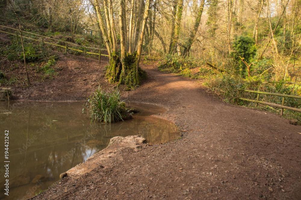 فيلا Peaceful Woodland Retreat Near Clifton, بريستول المظهر الخارجي الصورة